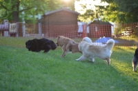DSC_0283.JPG