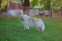 DSC_0297.JPG