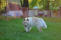 DSC_0298.JPG