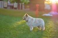 DSC_0310.JPG