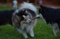 DSC_0319.JPG