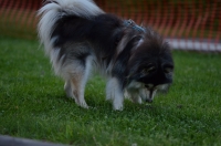 DSC_0322.JPG