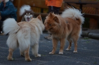 DSC_0332.JPG