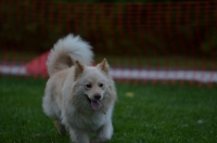DSC_0337.JPG