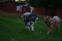 DSC_0342.JPG