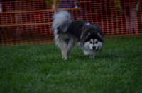 DSC_0343.JPG