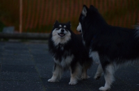 DSC_0348.JPG