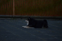 DSC_0349.JPG