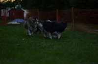 DSC_0353.JPG