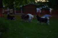 DSC_0355.JPG