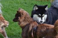 DSC_0365.JPG