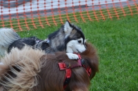 DSC_0371.JPG