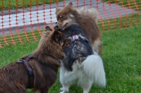 DSC_0373.JPG