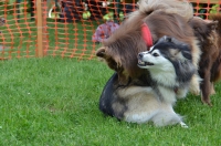 DSC_0386.JPG
