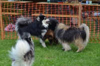 DSC_0404.JPG