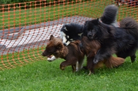 DSC_0405.JPG