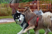 DSC_0416.JPG
