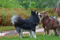 DSC_0422.JPG