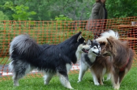 DSC_0423.JPG