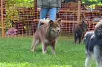 DSC_0427.JPG