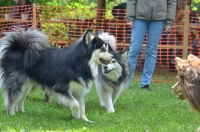 DSC_0429.JPG