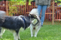 DSC_0431.JPG