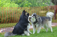 DSC_0436.JPG