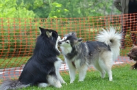 DSC_0437.JPG