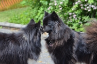 DSC_0441.JPG