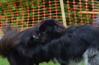 DSC_0446.JPG