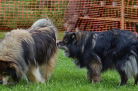 DSC_0450.JPG