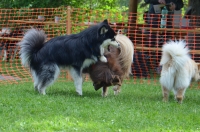 DSC_0464.JPG