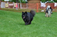 DSC_0476.JPG
