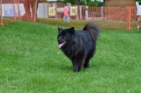 DSC_0477.JPG