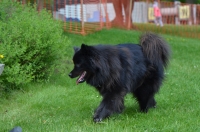 DSC_0478.JPG