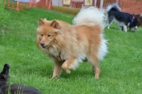 DSC_0479.JPG