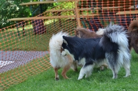 DSC_0501.JPG