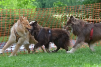 DSC_0506.JPG