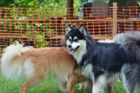 DSC_0517.JPG