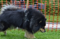 DSC_0533.JPG