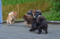 DSC_0551.JPG