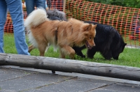 DSC_0555.JPG