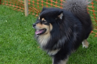 DSC_0566.JPG