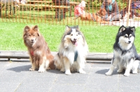 DSC_0574.JPG
