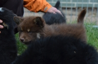 DSC_0616.JPG