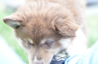 DSC_0626.JPG