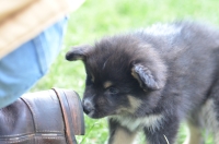 DSC_0644.JPG