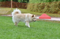 DSC_0692.JPG