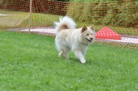 DSC_0693.JPG