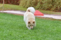 DSC_0694.JPG